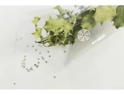 Clairefontaine - Film Fleuriste - 70 Cm X 3 M - 35 µm - Transparent - Feuille En Polypropylène 5 Clairefontaine - Film Fleuriste - 70 Cm X 3 M - 35 µm - Transparent - Feuille En Polypropylène -Clairefontaine 1095598 2022 3 c6d6