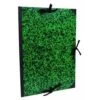 Clairefontaine 38930C - Carton à Dessin Annonay Vert à Cordons Et Poignée, 59x72 (pour B2+)