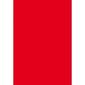 Clairefontaine Etui De 25 Feuilles Pollen 210x297 Rouge Groseille 210g 1 Clairefontaine Etui De 25 Feuilles Pollen 210x297 Rouge Groseille 210g