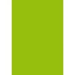 Clairefontaine Etui De 25 Feuilles Pollen 210x297 Vert Menthe 210g