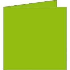 Clairefontaine 2141C - Carte Pliée Pollen 160x160, 210 G/m², Coloris Vert Menthe, En Paquet Cellophané De 25