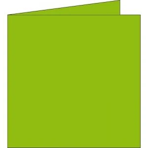 Clairefontaine 2141C - Carte Pliée Pollen 160x160, 210 G/m², Coloris Vert Menthe, En Paquet Cellophané De 25 1 Clairefontaine 2141C - Carte Pliée Pollen 160x160, 210 G/m², Coloris Vert Menthe, En Paquet Cellophané De 25