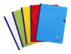 Clairefontaine Mimesys - Cahier Polypro 24 X 32 Cm - 192 Pages - Grands Carreaux (Seyes) - Disponible Dans Différentes Couleurs