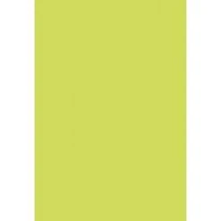 Clairefontaine 50 Feuilles Verte POLLEN A4 120g