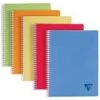 Clairefontaine Linicolor Fresh (328126C) - Cahier à Spirales 180P A4 Petits Carreaux (90g)