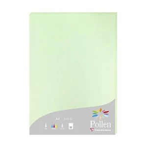 Clairefontaine Etui De 25 Feuilles Pollen 210x297mm 210g/m2 - Vert - Lot De 2 1 Clairefontaine Etui De 25 Feuilles Pollen 210x297mm 210g/m2 - Vert - Lot De 2