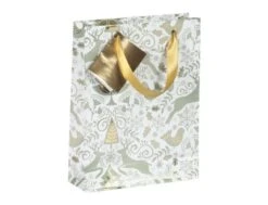 Clairefontaine Dans Les Bois - Sac Cadeau Medium - 17 Cm X 6 Cm X 22 Cm - Vert