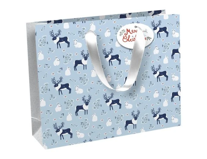Clairefontaine Empreintes - Sac Cadeau Shopping - 37,3 Cm X 11,8 Cm X 27,5 Cm 1 Clairefontaine Empreintes - Sac Cadeau Shopping - 37,3 Cm X 11,8 Cm X 27,5 Cm