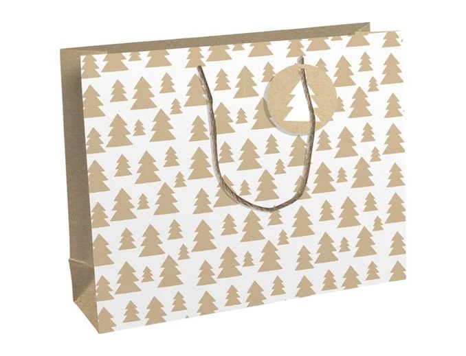 Clairefontaine Lovely Home Green - Sac Cadeau Blanc - 37,3 Cm X 11,8 Cm X 27,5 Cm 1 Clairefontaine Lovely Home Green - Sac Cadeau Blanc - 37,3 Cm X 11,8 Cm X 27,5 Cm