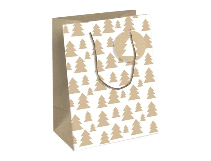 Clairefontaine Lovely Home Green Medium - Sac Cadeau Blanc - 21,5 Cm X 10,2 Cm X 25,3 Cm 1 Clairefontaine Lovely Home Green Medium - Sac Cadeau Blanc - 21,5 Cm X 10,2 Cm X 25,3 Cm