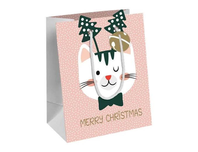 Clairefontaine Cat'Mas - Sac Cadeau - 17 Cm X 6 Cm X 22 Cm - Rose 1 Clairefontaine Cat'Mas - Sac Cadeau - 17 Cm X 6 Cm X 22 Cm - Rose