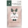 Clairefontaine Cat'Mas - 6 Cartes D'invitation - 10,5 X 18 Cm - Rose/vert